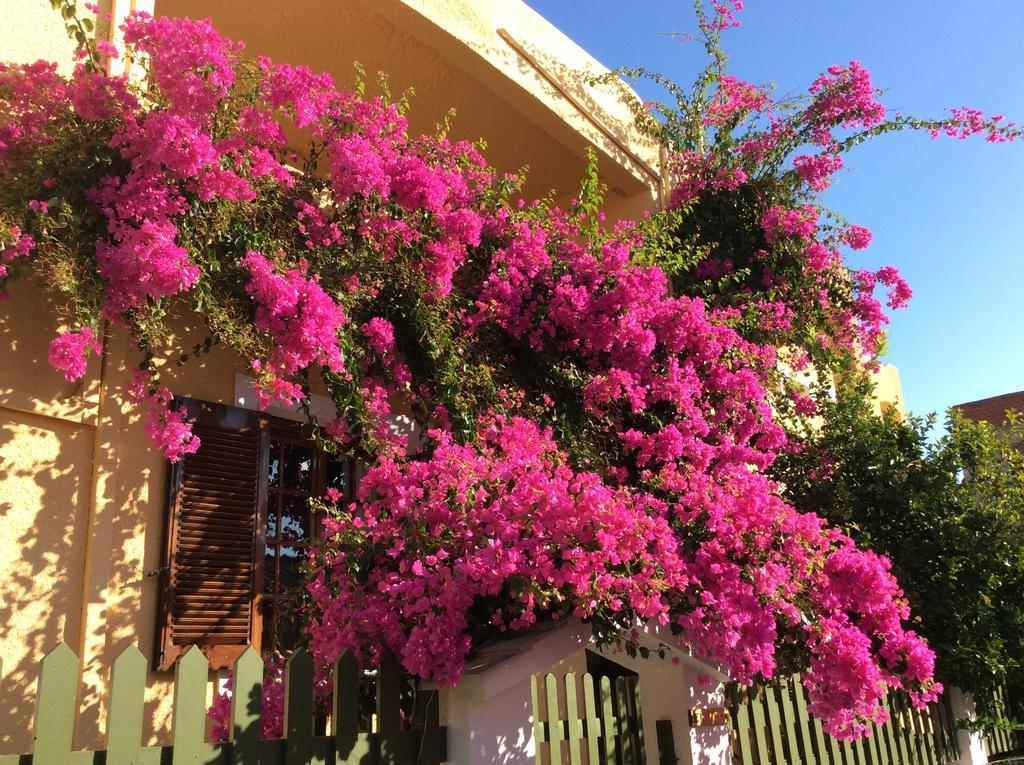 Eriketi Studios Agia Marina  Esterno foto